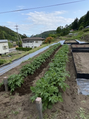 終農から就農へ