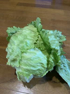 お野菜を作る楽しさから悦びに