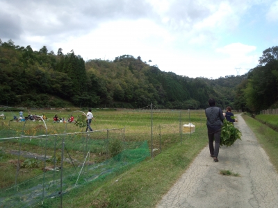 IMG_20131013_141429126.jpg