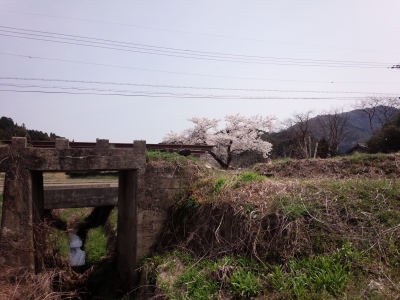 IMG_20140412_124110.jpg