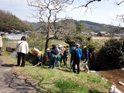 IMG_20140419_094813.jpg