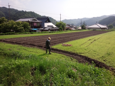 2014.6.15º´¡¹ÌÚ¤µ¤ó²È¤Î¹õƦ¤Þ¤¤ÈºôΩ¤Æ 2014-06-15 004.jpg