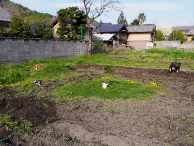 P4020721.JPG