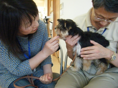 DSCF6201.JPG