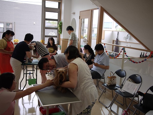 P1240866.jpg