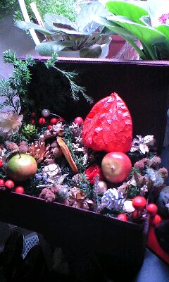 111120_2017~0001.jpg