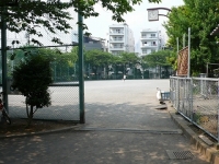 代々木小公園7