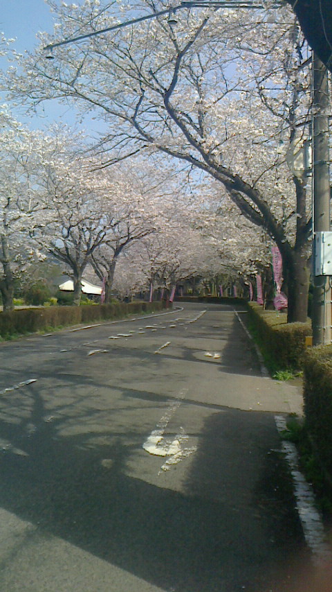 2013031915380000.jpg