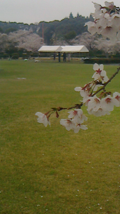 2013032011500000.jpg
