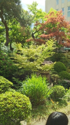 DSC_4815.JPG