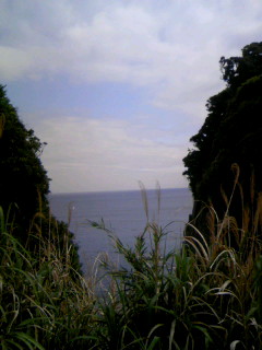 080504_152244.JPG