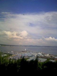 080830_142753.JPG
