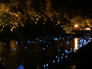 image1.jpeg