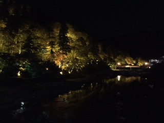 image1.jpeg