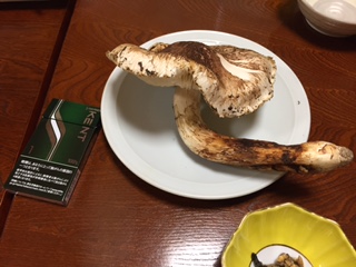 image1.jpeg