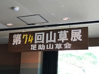 image1.jpeg