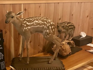 image1.jpeg