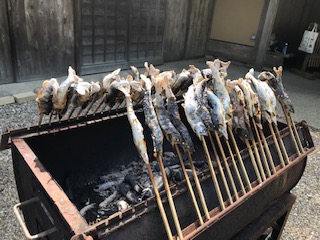 image1.jpeg