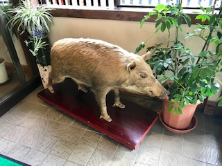 image1.jpeg
