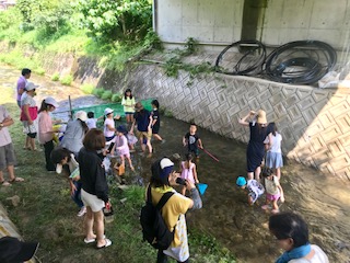 image1.jpeg
