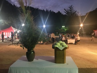 image1.jpeg