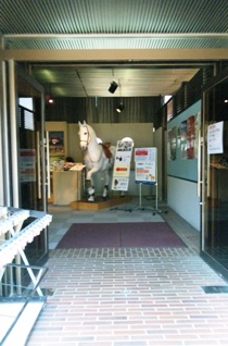 sp6.jpg