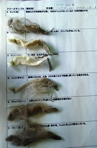 DSC_草3.JPG