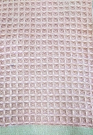 DSC_草ワッフル6.JPG