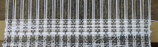 DSC_草?10.JPG