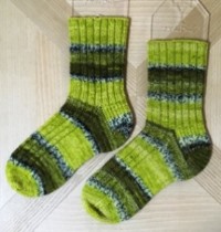 image1.JPG