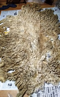 DSC_1826.JPG