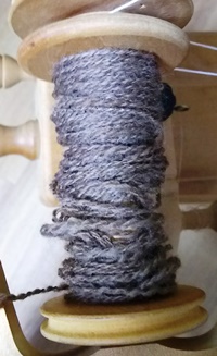 DSC_1986.JPG