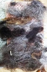 DSC_1990.JPG