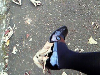 200912161608000.jpg