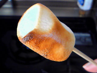 201003111450000.jpg