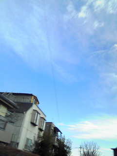 201101011347000.jpg