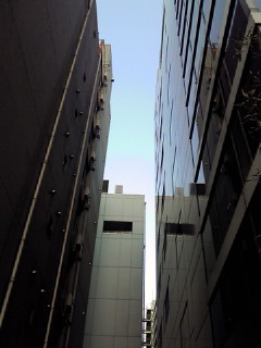 201101051440002.jpg