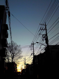 201101071630001.jpg
