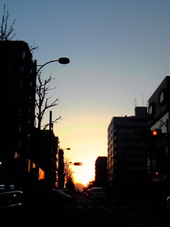 201101081635001.jpg