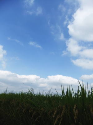今日の空