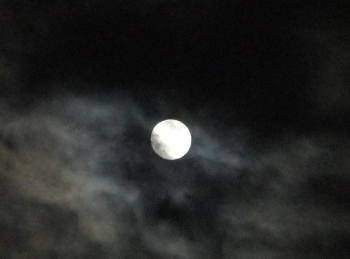 昨夜の満月