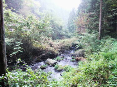 蓬山の川