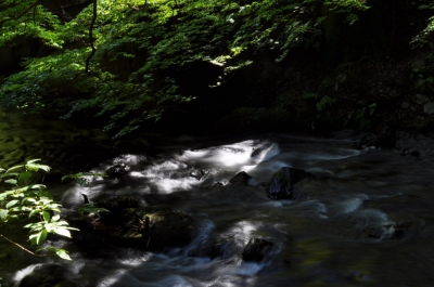 川の流れのように