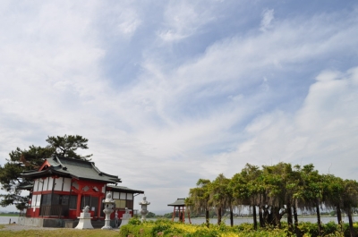 変容の空 シンパシー
