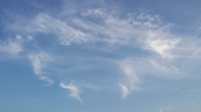 天使たちの空 シンパシー