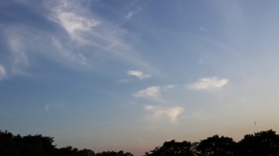 天使たちの空 シンパシー