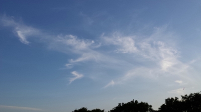 天使たちの空 シンパシー