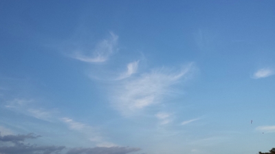天使たちの空 シンパシー