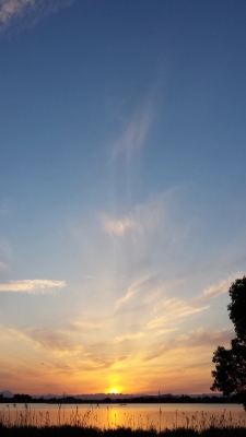 天使たちの空 シンパシー