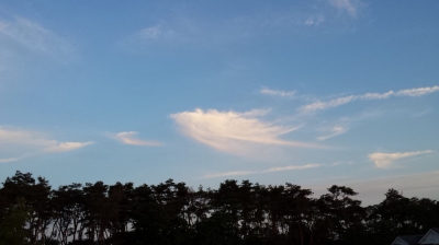 天使たちの空 シンパシー